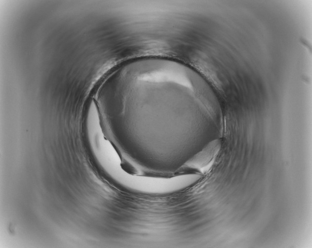 X0000098130156200805081006