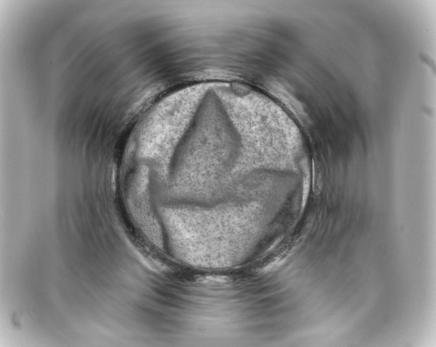 X0000098130157200805081006