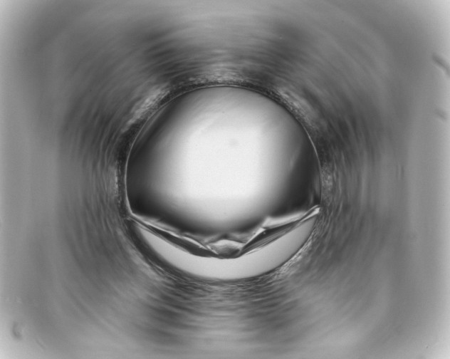 X0000098130158200805081006