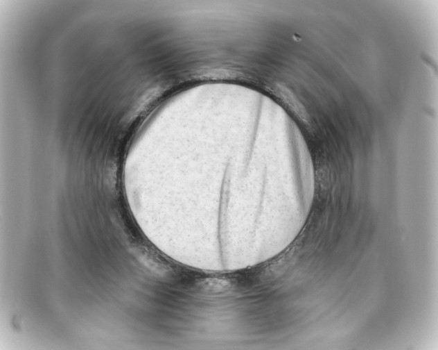 X0000098130159200805081006