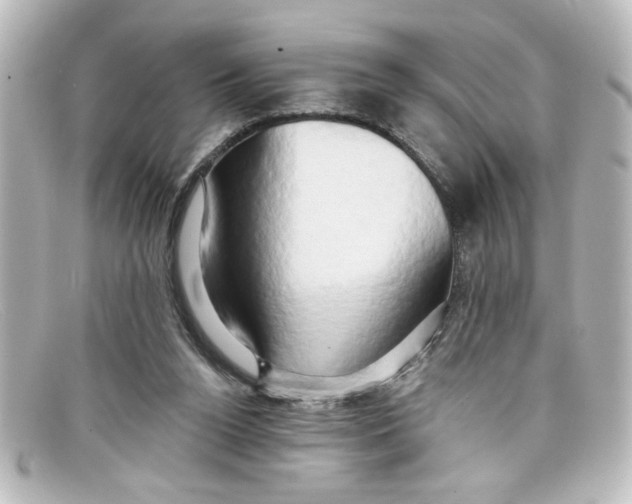 X0000098130160200805081006
