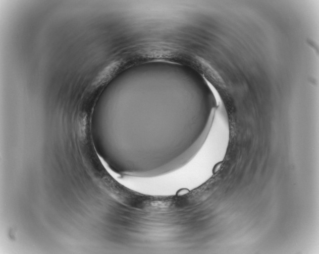 X0000098130163200805081006