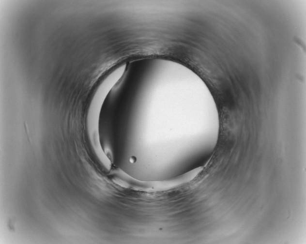 X0000098130164200805081006