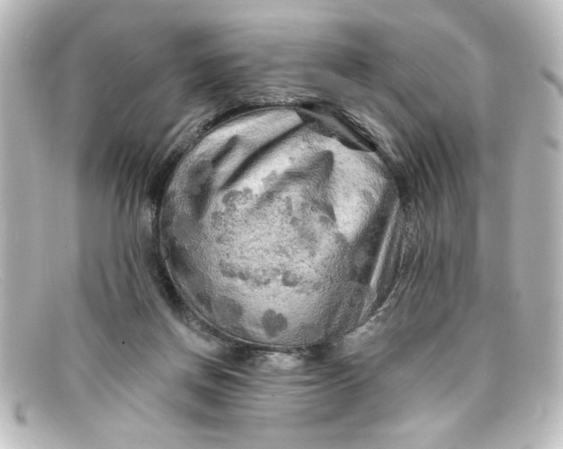 X0000098130166200805081006