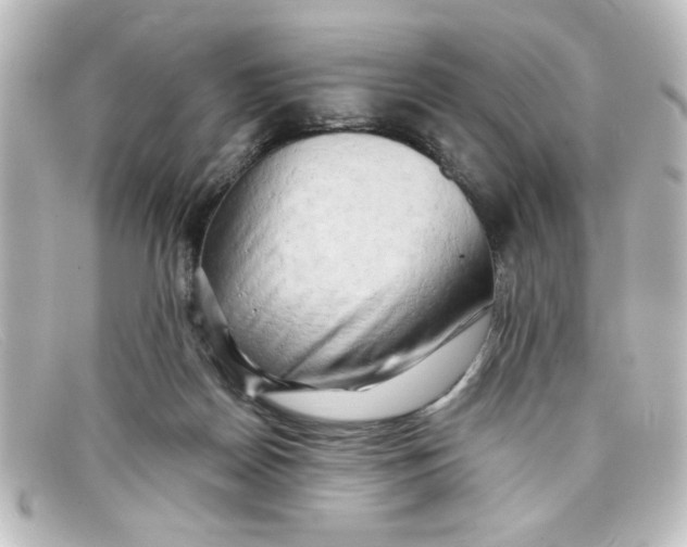 X0000098130170200805081006