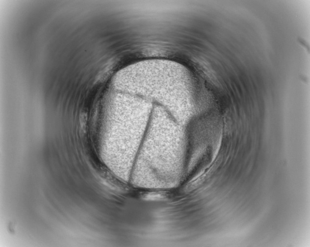 X0000098130171200805081006