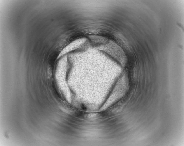 X0000098130173200805081006