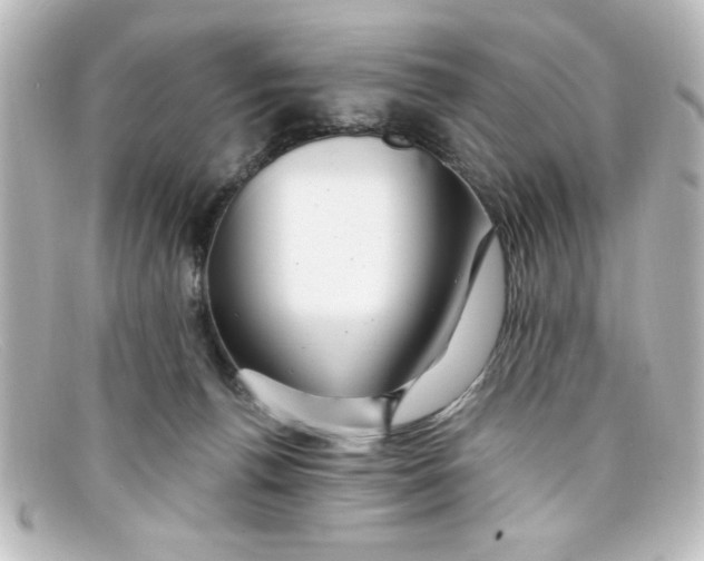 X0000098130176200805081006