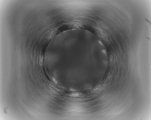 X0000098130177200805081006