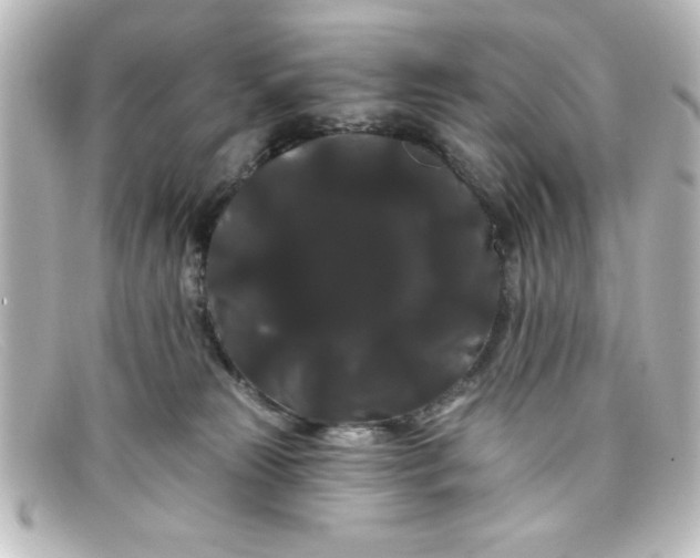 X0000098130181200805081006