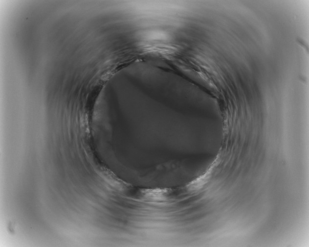 X0000098130182200805081006