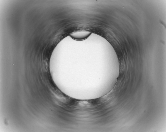 X0000098130183200805081006
