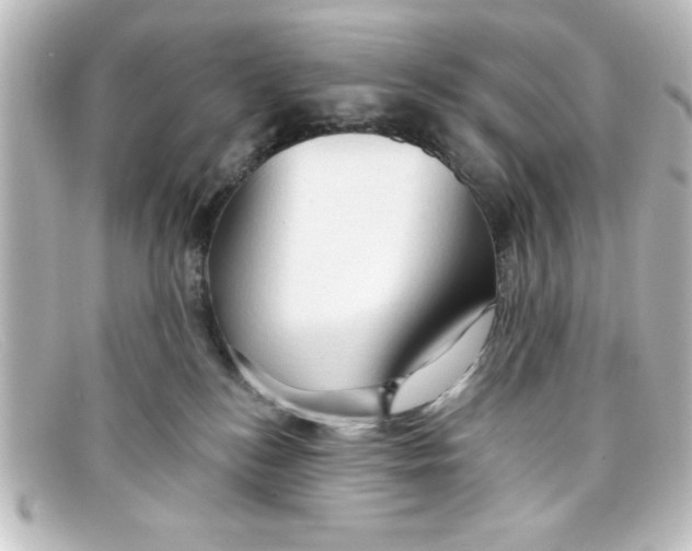 X0000098130184200805081006