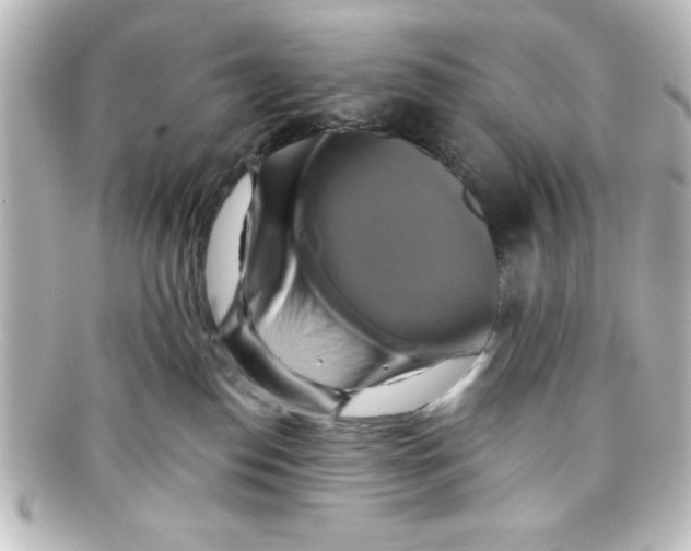 X0000098130186200805081006