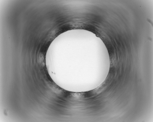 X0000098130187200805081006