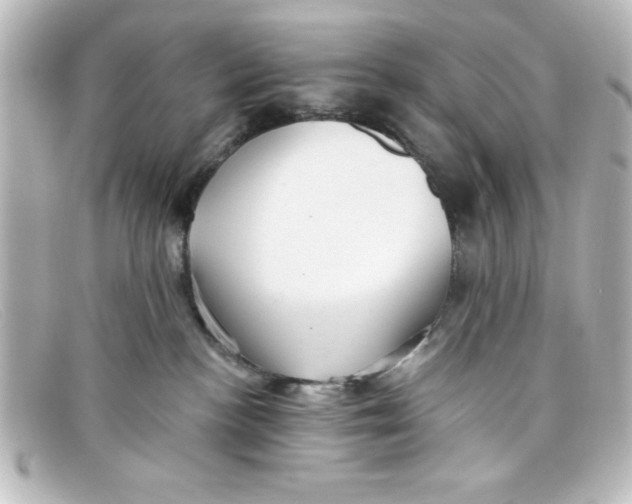 X0000098130188200805081006