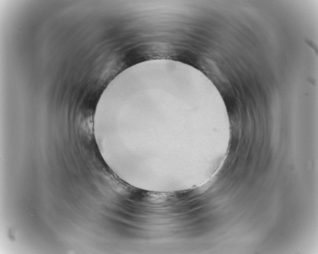 X0000098130190200805081006