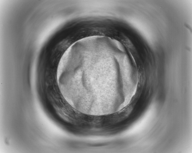 X0000098130191200805081006