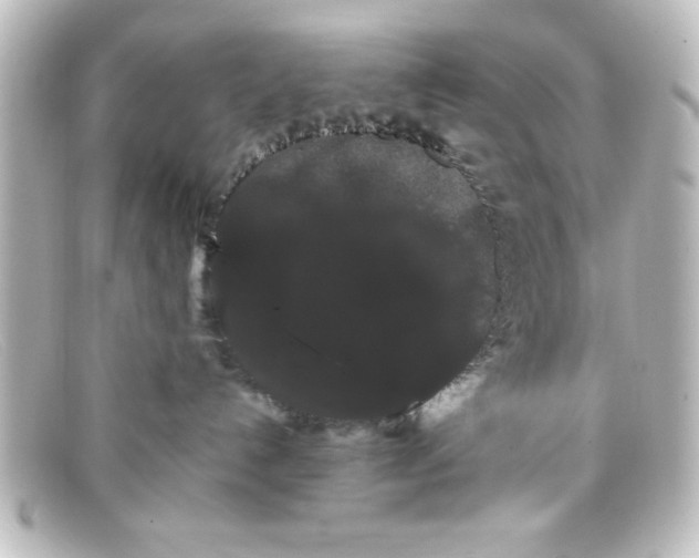 X0000098130192200805081006