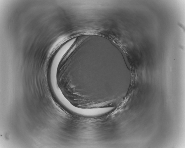 X0000098130197200805081005