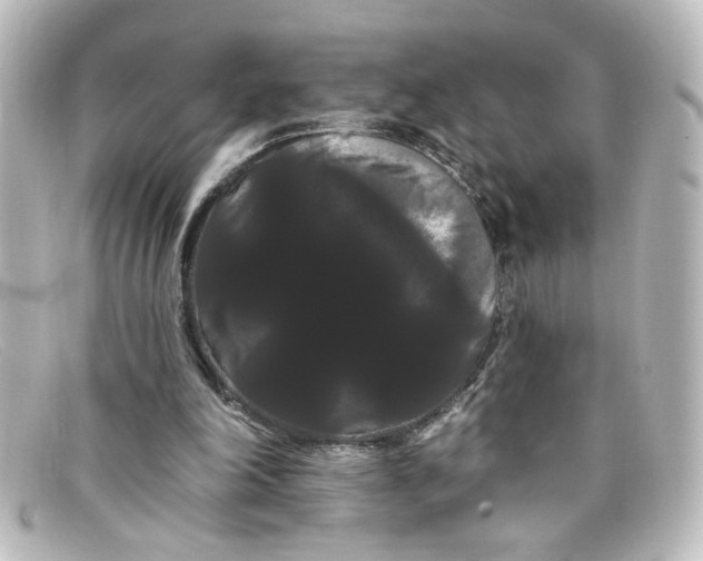 X0000098130198200805081005