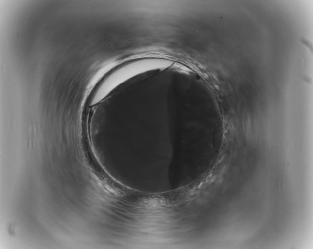 X0000098130200200805081005