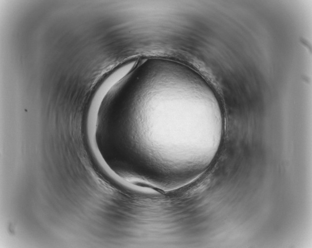 X0000098130201200805081005