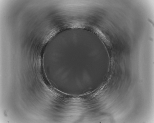 X0000098130202200805081005