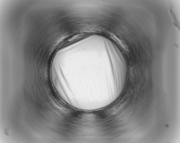 X0000098130203200805081005
