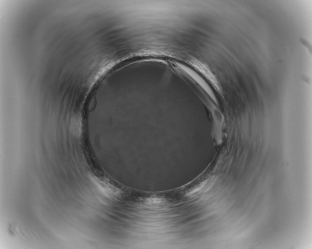 X0000098130204200805081005