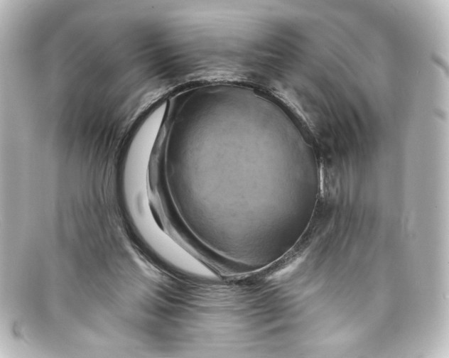 X0000098130205200805081005