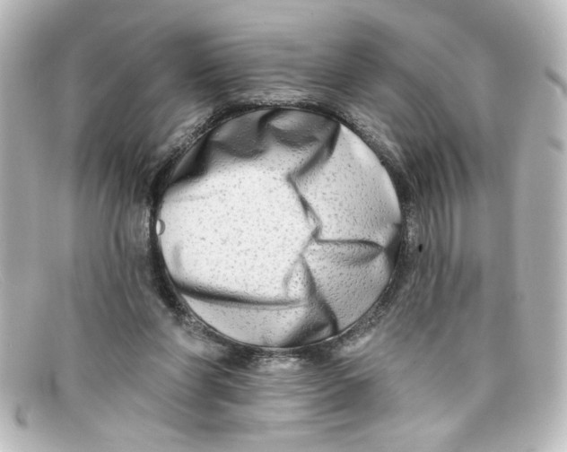 X0000098130206200805081005