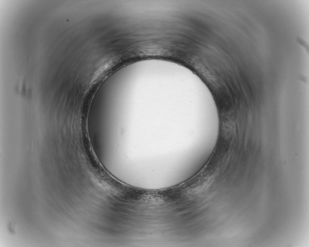 X0000098130207200805081005