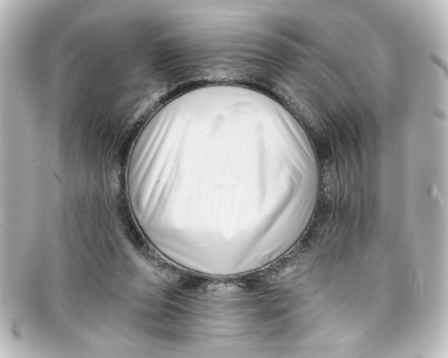 X0000098130208200805081005