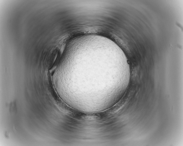 X0000098130209200805081005