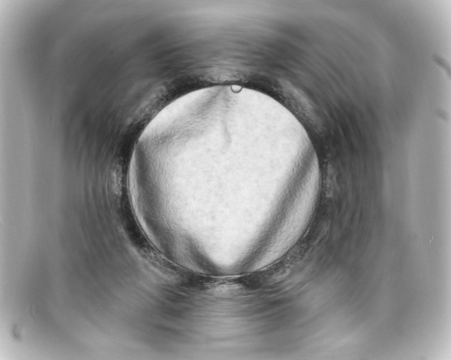 X0000098130210200805081005