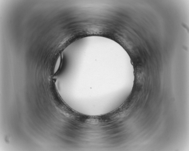 X0000098130211200805081005