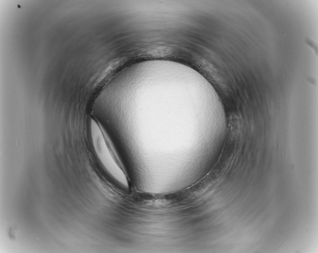 X0000098130212200805081005