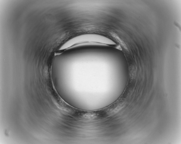 X0000098130213200805081005