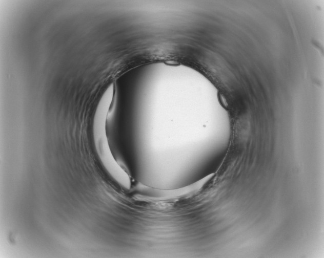 X0000098130217200805081005