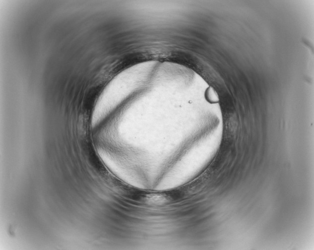 X0000098130218200805081005
