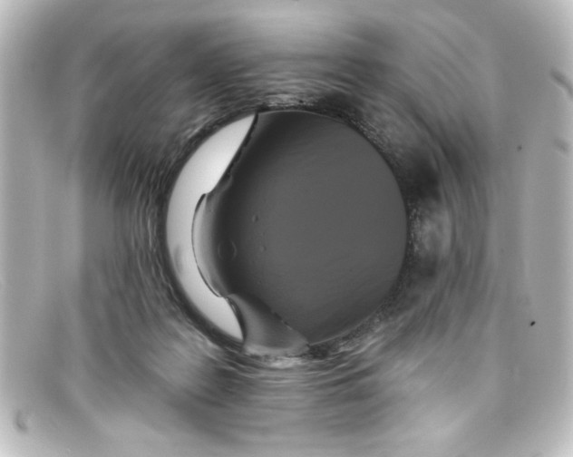 X0000098130219200805081005