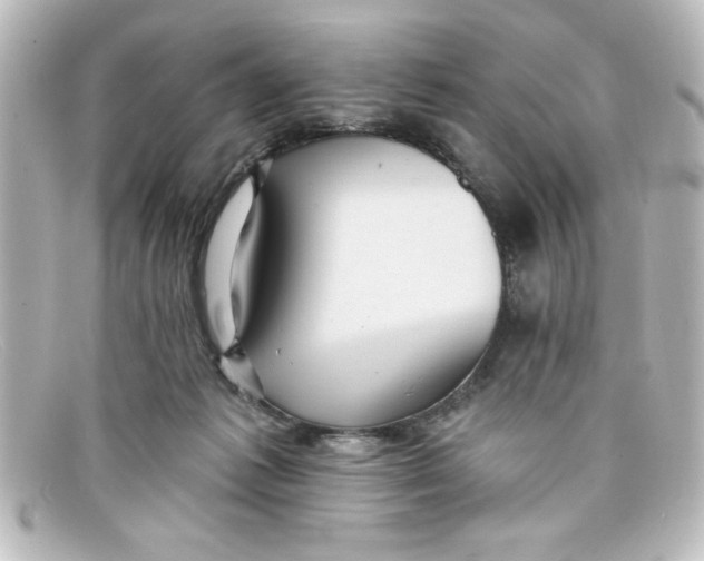 X0000098130221200805081005