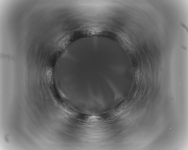 X0000098130222200805081005