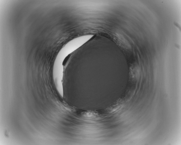 X0000098130223200805081005