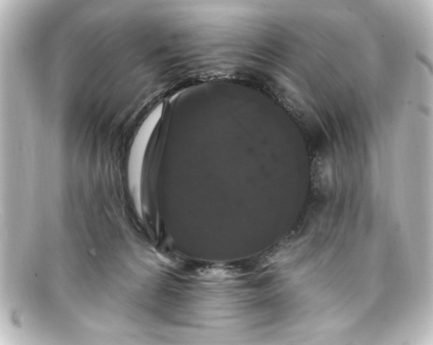 X0000098130224200805081005