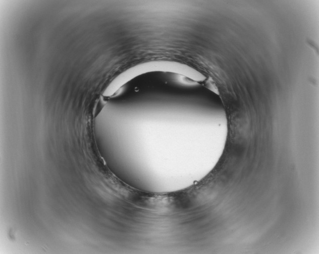 X0000098130225200805081005