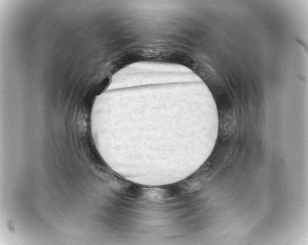 X0000098130226200805081005