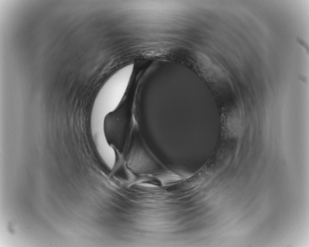 X0000098130227200805081005