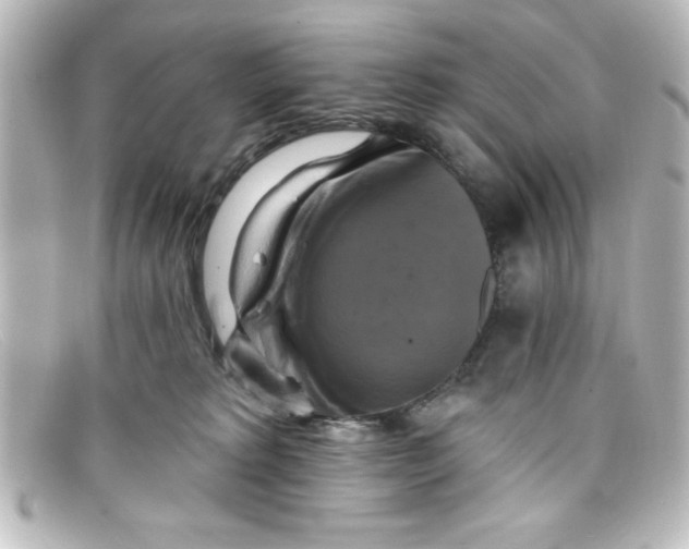 X0000098130229200805081005